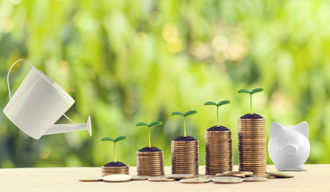 Revenu passif : 12 idées pour gagner de l'argent