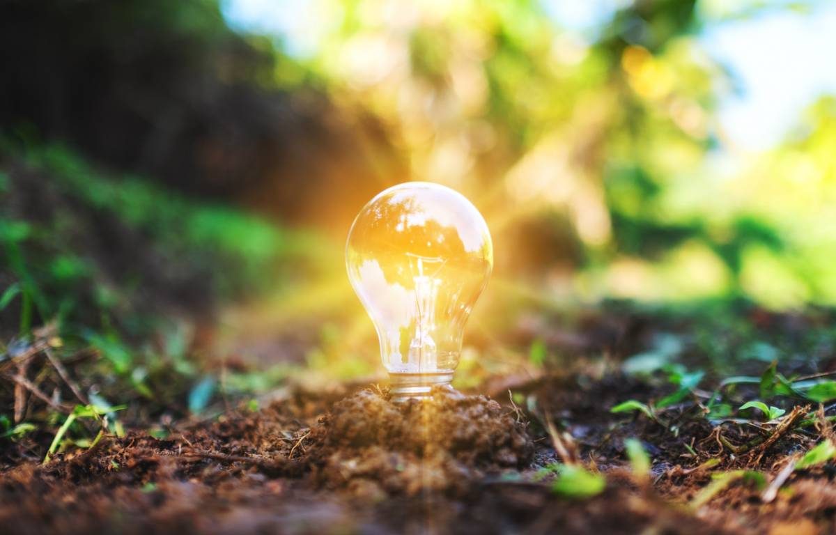 Libérez votre potentiel avec une formation en environnement