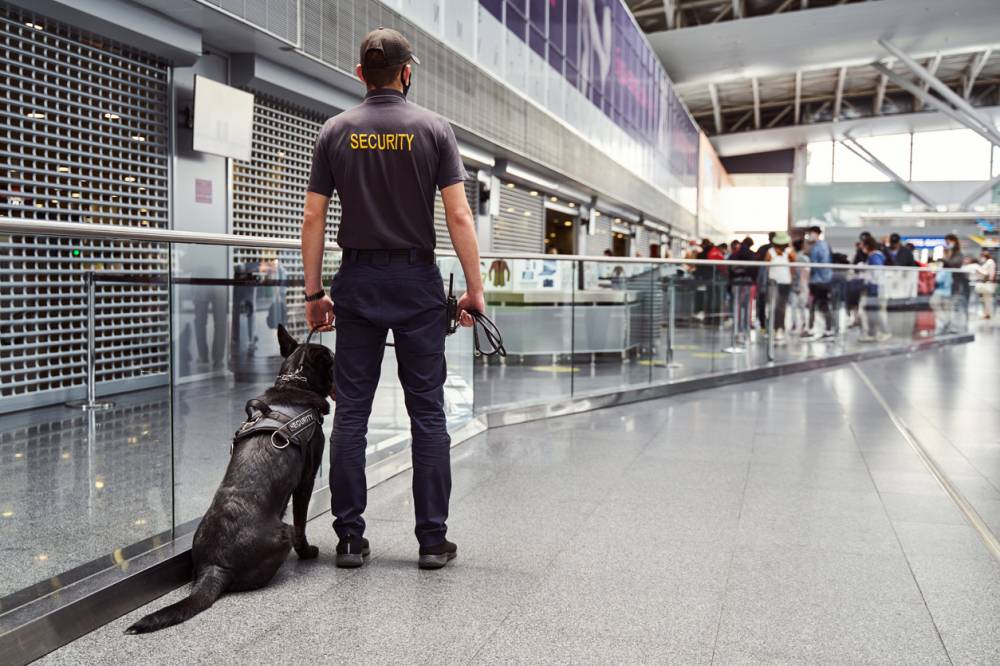 agent de gardiennage sécurité privée Lille